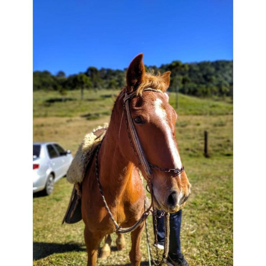 Cabanas Fazenda Da Raia Urubici Kültér fotó