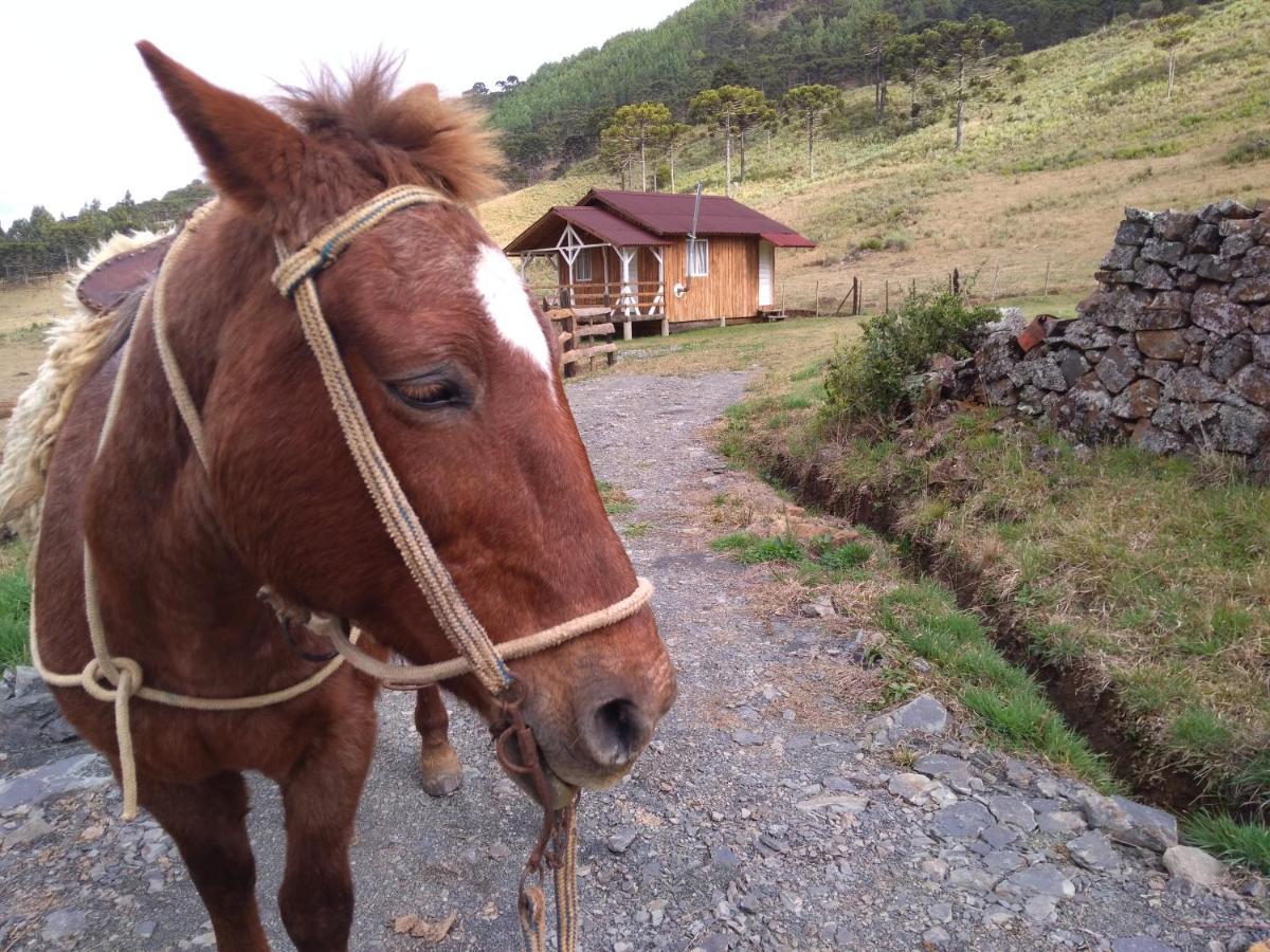 Cabanas Fazenda Da Raia Urubici Kültér fotó